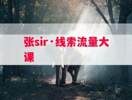 张sir·线索流量大课