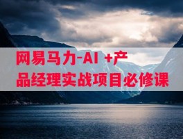 网易马力-AI +产品经理实战项目必修课