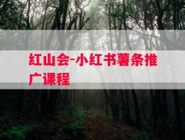 红山会-小红书薯条推广课程