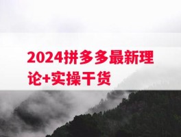 2024拼多多最新理论+实操干货