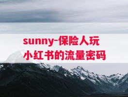 sunny-保险人玩小红书的流量密码