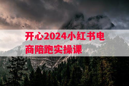 开心2024小红书电商陪跑实操课