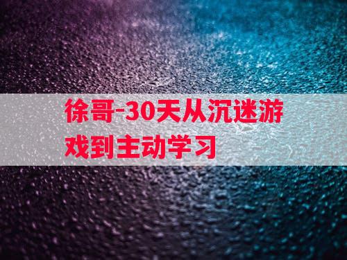 徐哥-30天从沉迷游戏到主动学习