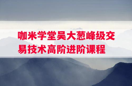 咖米学堂吴大葱峰级交易技术高阶进阶课程