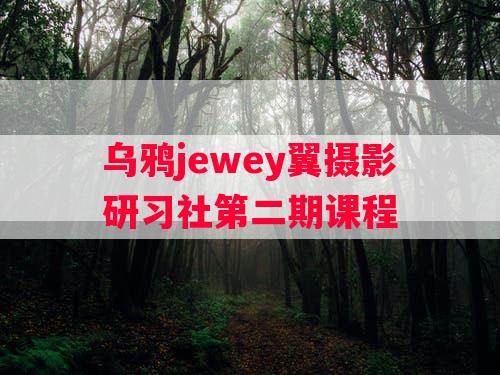 乌鸦jewey翼摄影研习社第二期课程