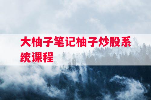 大柚子笔记柚子炒股系统课程