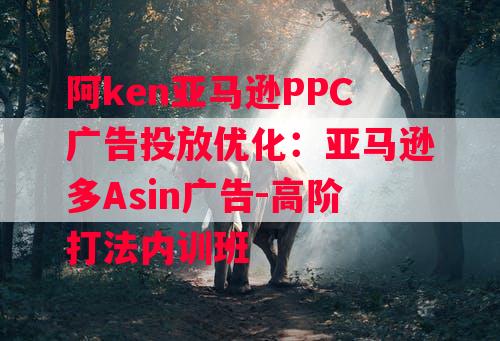 阿ken亚马逊PPC广告投放优化：亚马逊多Asin广告-高阶打法内训班