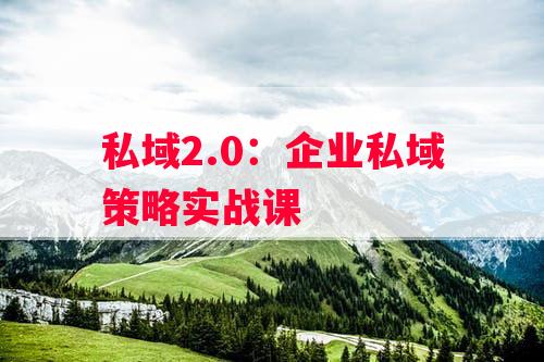 私域2.0：企业私域策略实战课