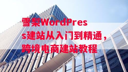 雪梨WordPress建站从入门到精通，跨境电商建站教程