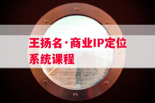 王扬名·商业IP定位系统课程