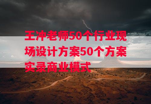 王冲老师50个行业现场设计方案50个方案实录商业模式