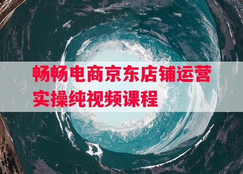 畅畅电商京东店铺运营实操纯视频课程