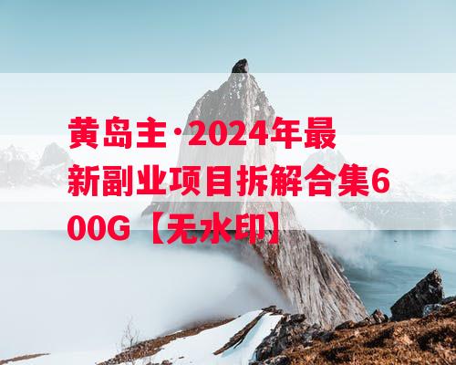 黄岛主·2024年最新副业项目拆解合集600G【无水印】