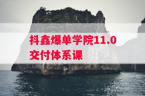 抖鑫爆单学院11.0交付体系课