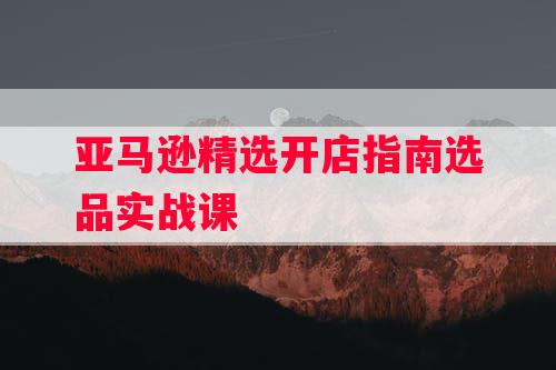 亚马逊精选开店指南选品实战课