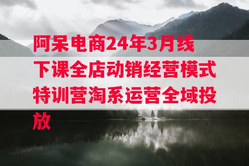 阿呆电商24年3月线下课全店动销经营模式特训营淘系运营全域投放