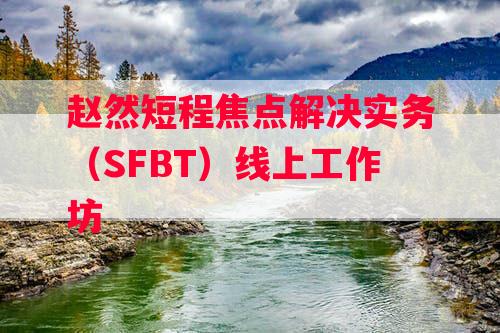 赵然短程焦点解决实务（SFBT）线上工作坊