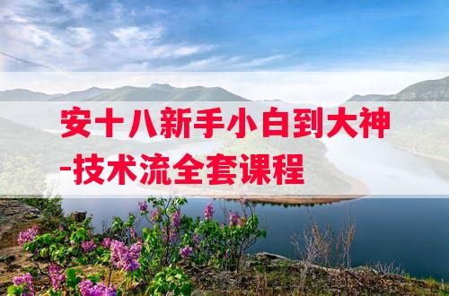 安十八新手小白到大神-技术流全套课程