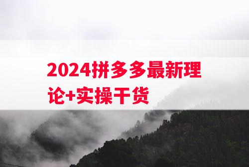 2024拼多多最新理论+实操干货