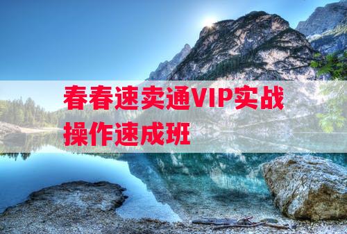 春春速卖通VIP实战操作速成班