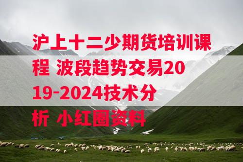 沪上十二少期货培训课程 波段趋势交易2019-2024技术分析 小红圈资料