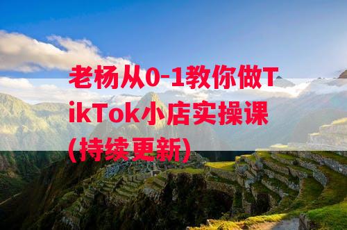 老杨从0-1教你做TikTok小店实操课(持续更新)