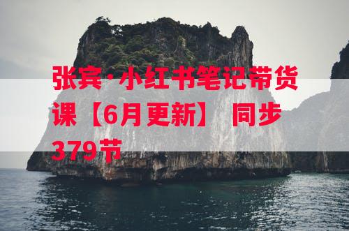 张宾·小红书笔记带货课【6月更新】 同步379节