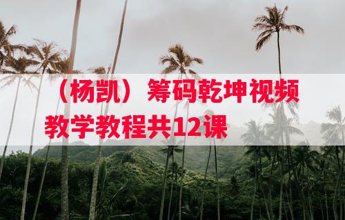 （杨凯）筹码乾坤视频教学教程共12课