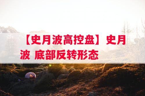 【史月波高控盘】史月波 底部反转形态