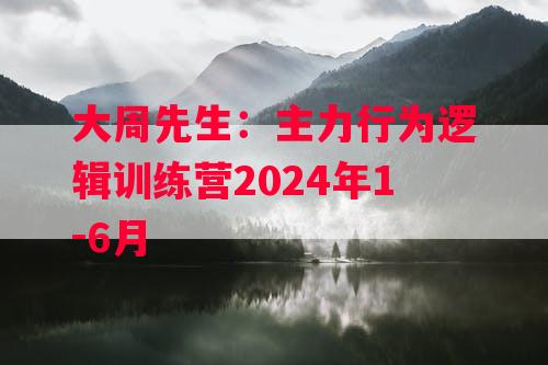 大周先生：主力行为逻辑训练营2024年1-6月