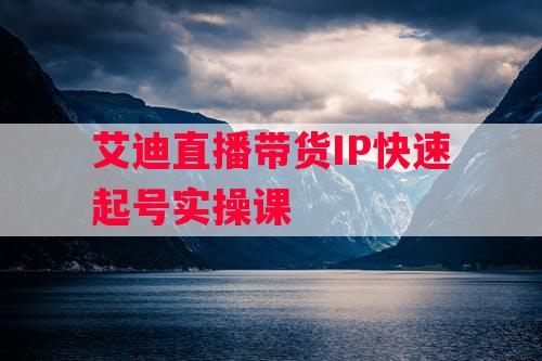 艾迪直播带货IP快速起号实操课