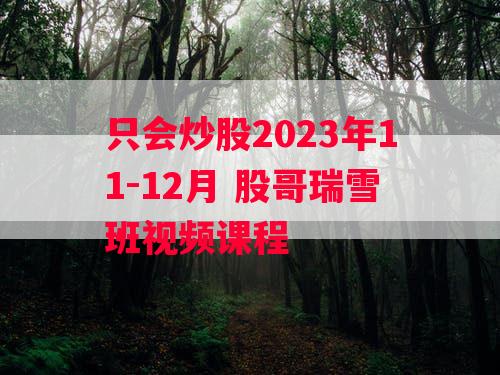 只会炒股2023年11-12月 股哥瑞雪班视频课程