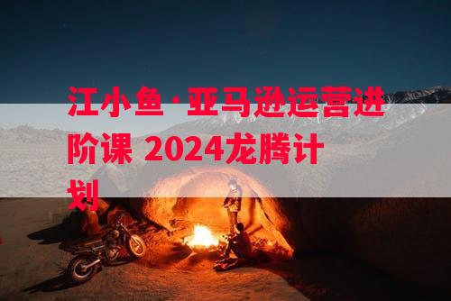 江小鱼·亚马逊运营进阶课 2024龙腾计划