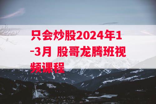 只会炒股2024年1-3月 股哥龙腾班视频课程