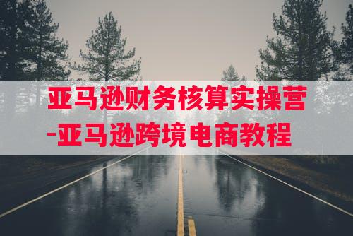 亚马逊财务核算实操营-亚马逊跨境电商教程