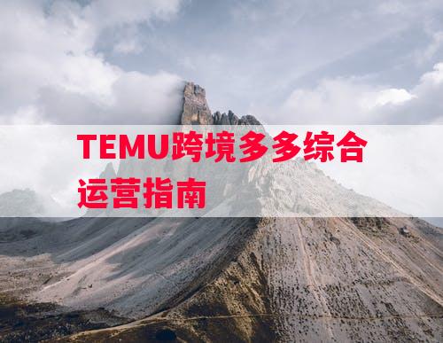 TEMU跨境多多综合运营指南