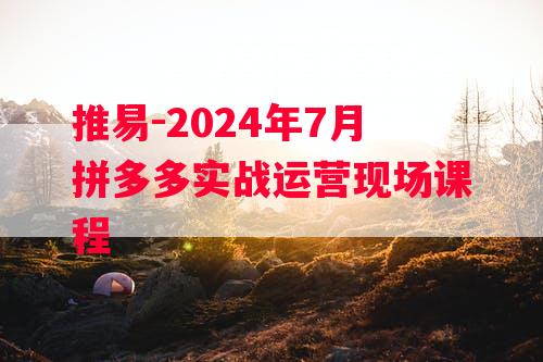 推易-2024年7月拼多多实战运营现场课程