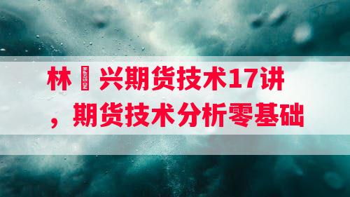 林洸兴期货技术17讲，期货技术分析零基础