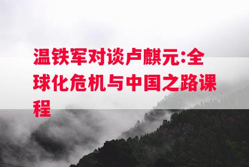 温铁军对谈卢麒元:全球化危机与中国之路课程