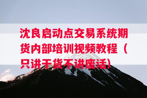 沈良启动点交易系统期货内部培训视频教程（只讲干货不讲废话）