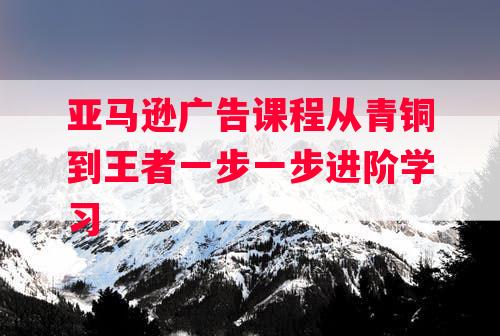 亚马逊广告课程从青铜到王者一步一步进阶学习