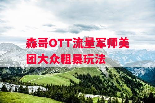 森哥OTT流量军师美团大众粗暴玩法