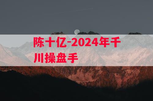 陈十亿-2024年千川操盘手