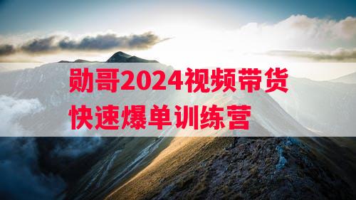 勋哥2024视频带货快速爆单训练营