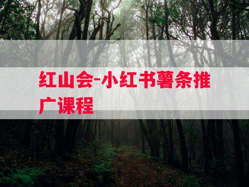 红山会-小红书薯条推广课程