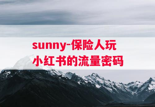 sunny-保险人玩小红书的流量密码