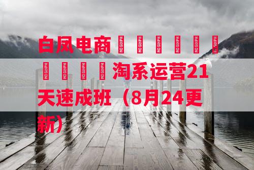 白凤电商–​​​​​​​​​淘系运营21天速成班（8月24更新）