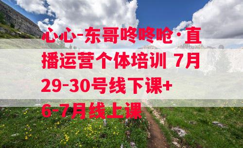 心心-东哥咚咚呛·直播运营个体培训 7月29-30号线下课+6-7月线上课