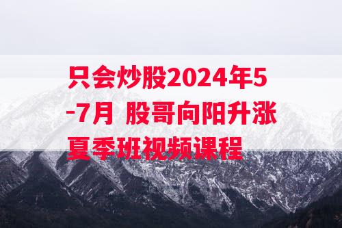 只会炒股2024年5-7月 股哥向阳升涨夏季班视频课程