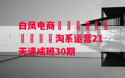 白凤电商–​​​​​​​​​淘系运营21天速成班30期